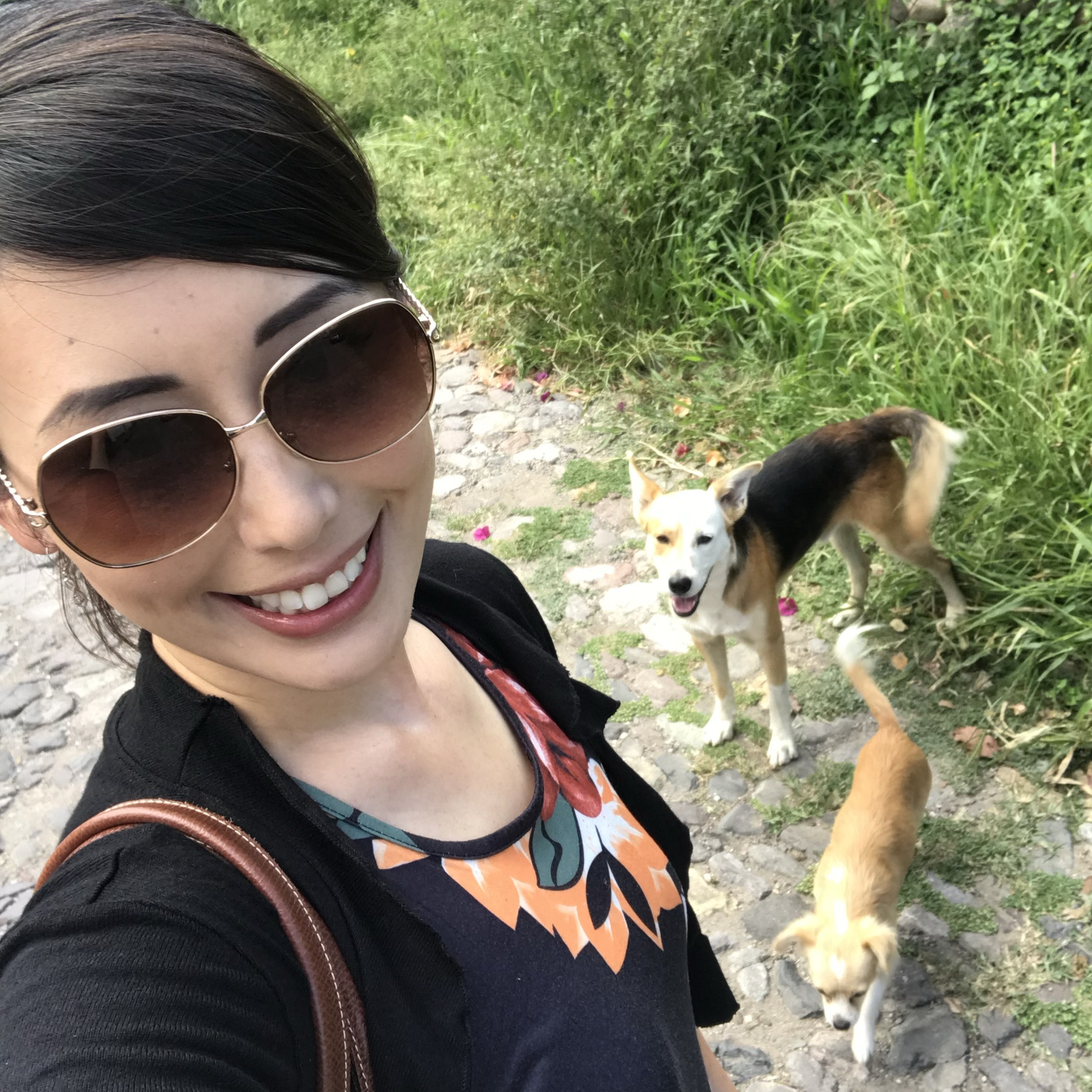 Job Looking for a Filipina housekeeper/nanny 1 day per week in South