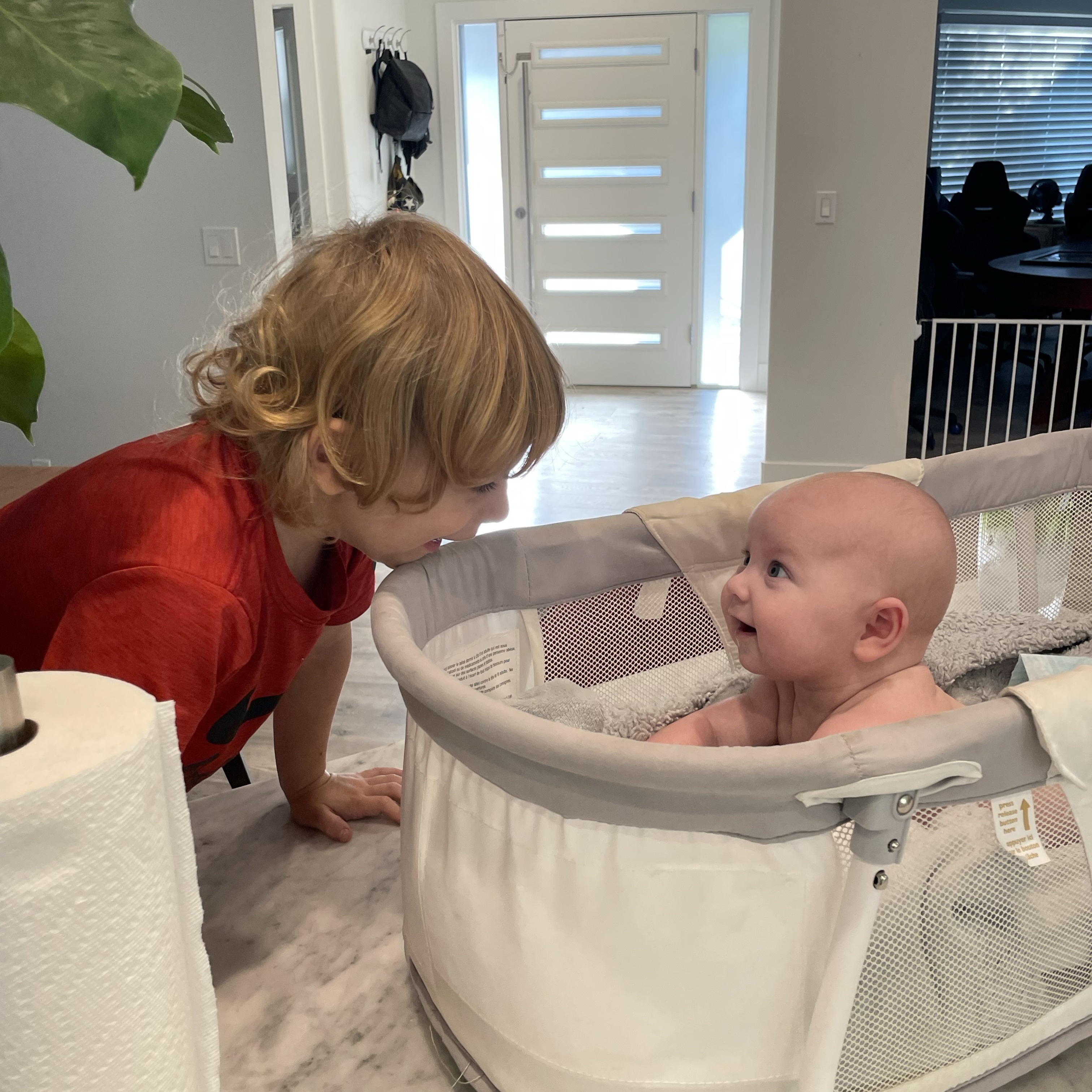 Job Nanny/Housekeeper, Langley at NannyServices.ca